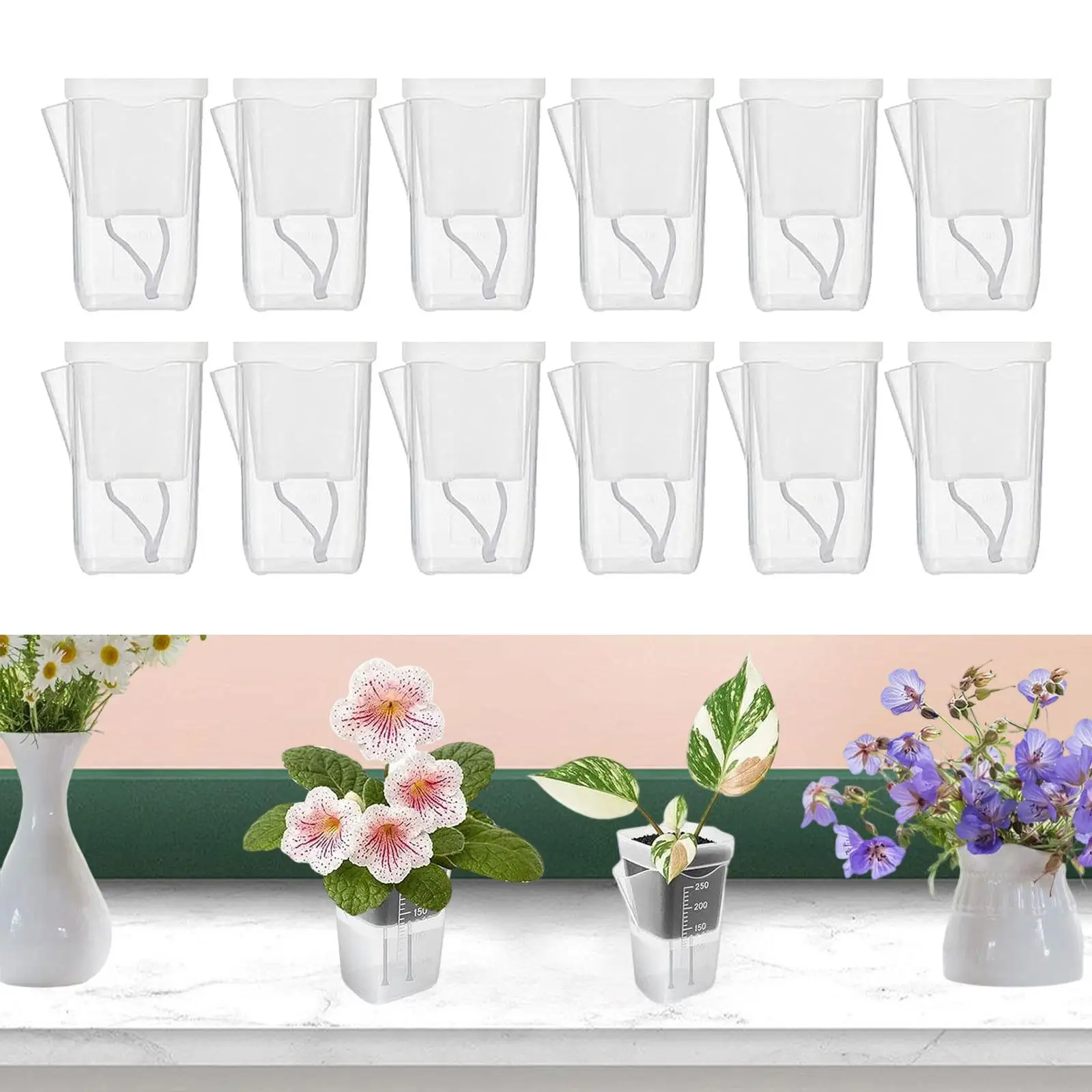 Fotografia 5: Vaso Transparente com Autoirrigação para Plantas Internas e Externas, Recipiente Retangular para Suculentas e Ervas