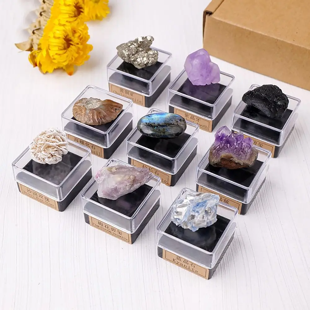 Rough Gemstone Natural Mineral Specimen Irregular Shape Multicolor Crystal Ore Box Geography Teaching Home Decor