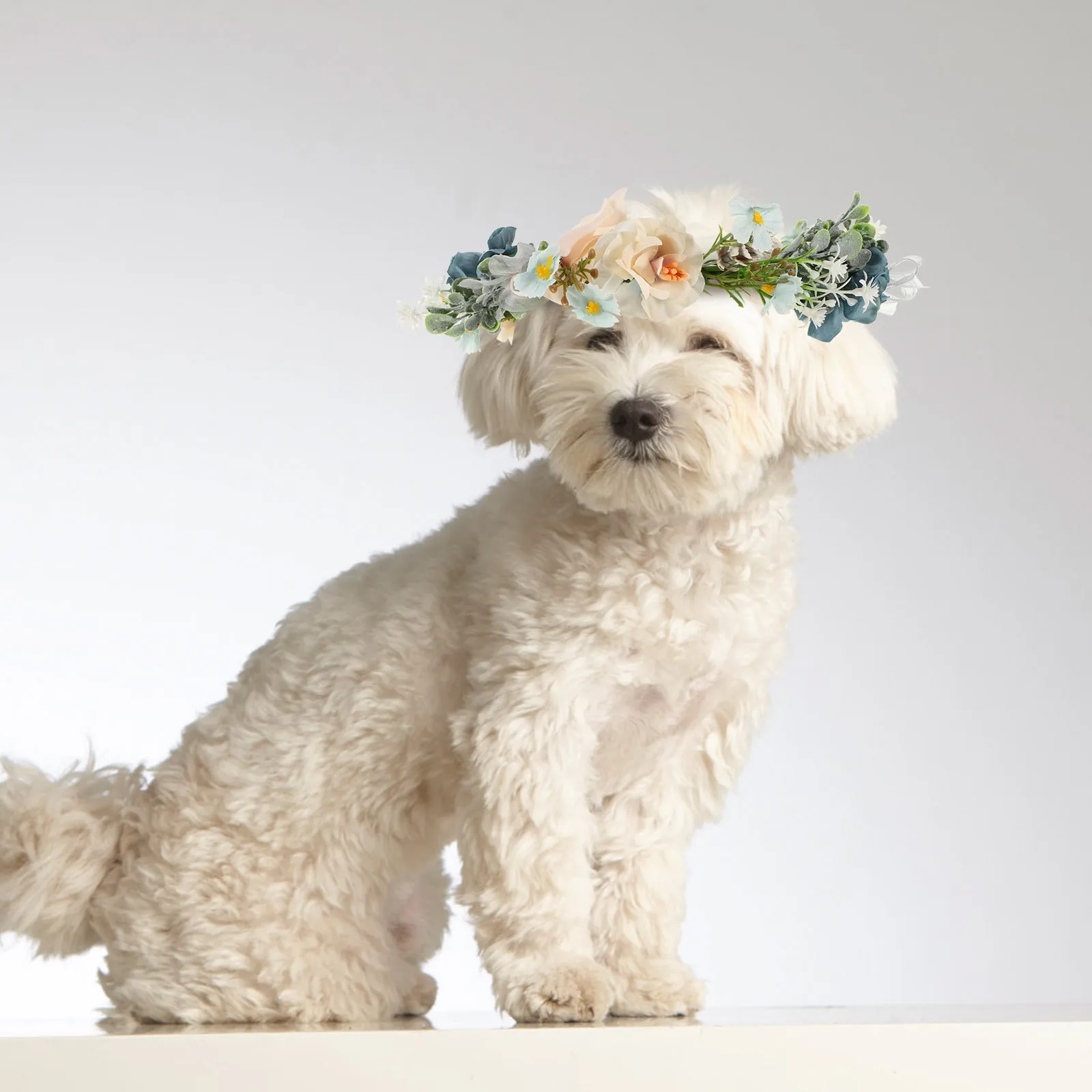 

Wedding Flower Dog Collar Floral Necklace Pet Photo Props Artificial Flowers Adjustable Ribbon Lightweight Dog Accessories