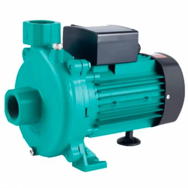 High Precision 1.2hp Canteen Water Supply Centrifugal Water Pump for School Cafeteria