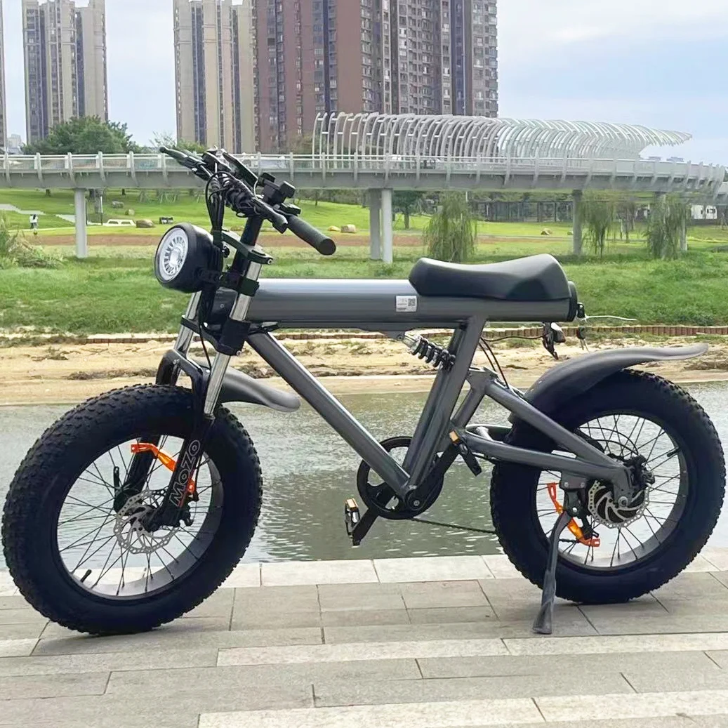 

STLF Fashion Fat Tire LCD Display 20 Inch 7 Speed 1000W Motor E Bike for Adult off Road City Commuting Electric Bike