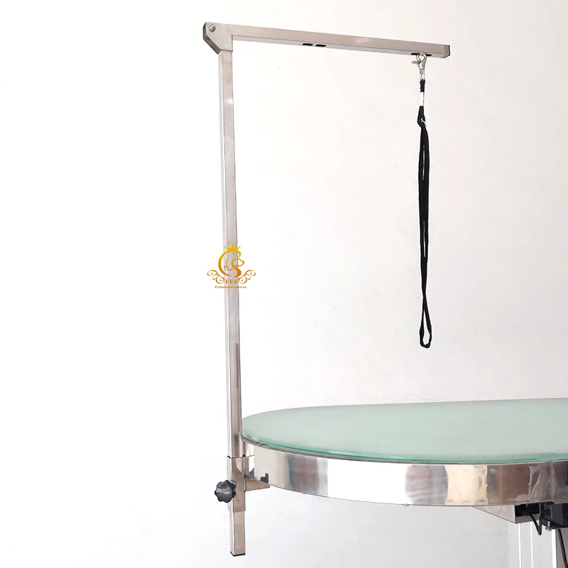 Electric Pet Grooming Table with Hydraulic Lift 8mm Tempered Frosted Glass Top LED Light Strip Non-Slip Easy Clean for Dogs Cats