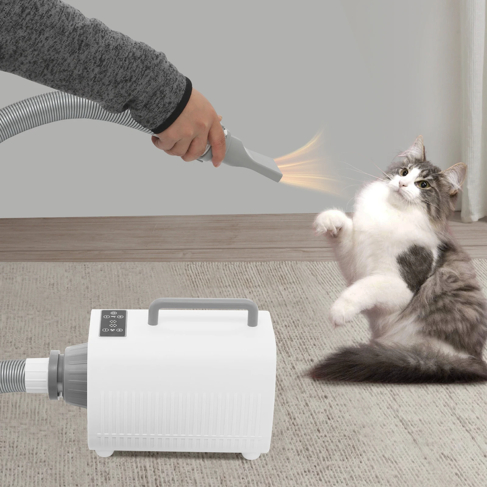 2100W Pet Hair Dryer Touch Screen 220V for Dogs and Cats of Different Sizes in Private Homes, Pet Stores, Pet Hospitals 3