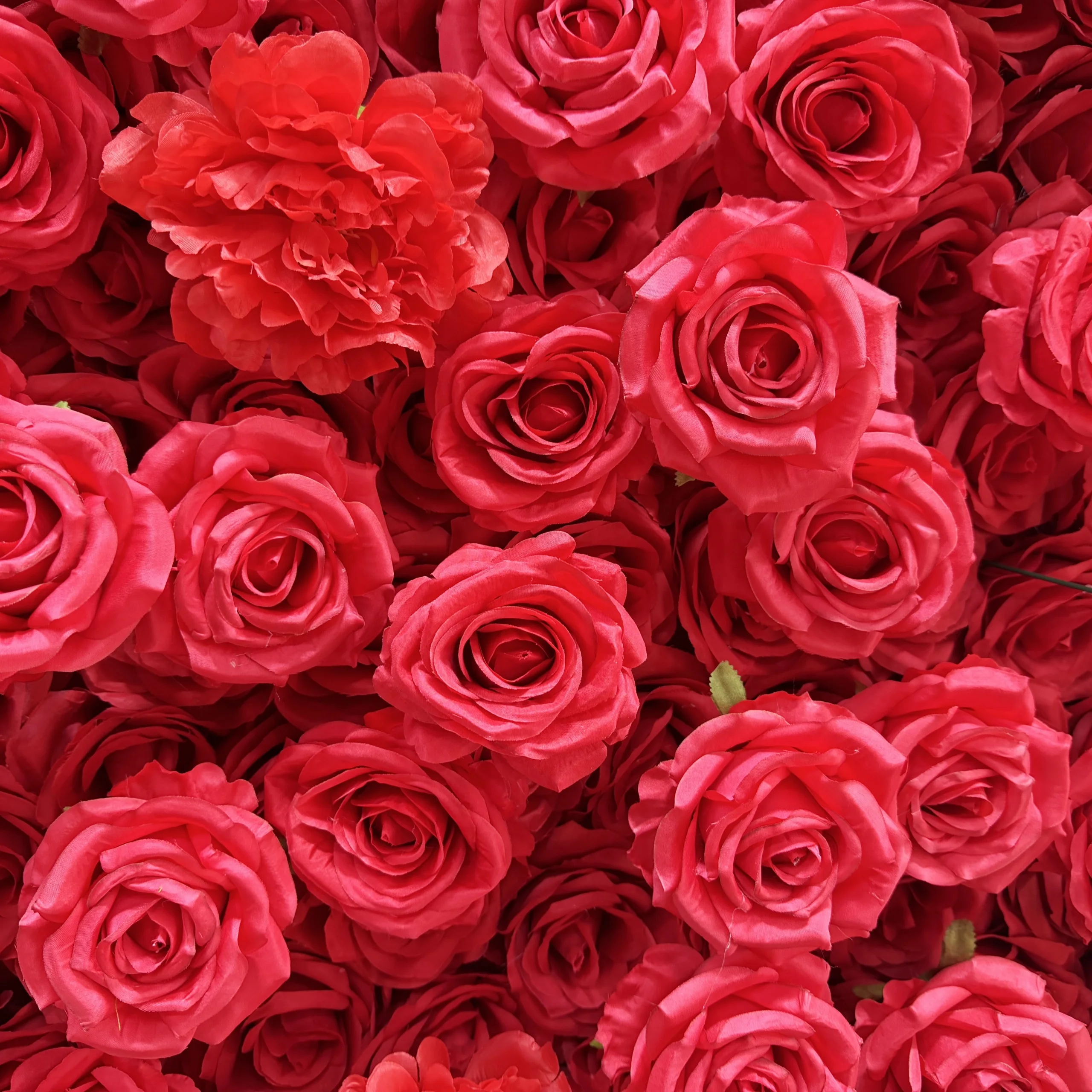 Heart Shaped Artificial Flower - Wedding Arch Flower 评论和价格