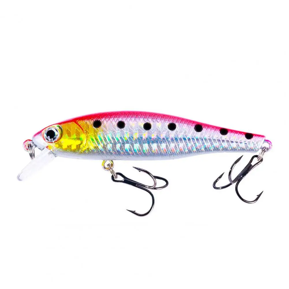 Fishing Lure Plastic Floating Minnow False Lures All Water Applicable Non-deformable Artificial Bait Fishing Ground