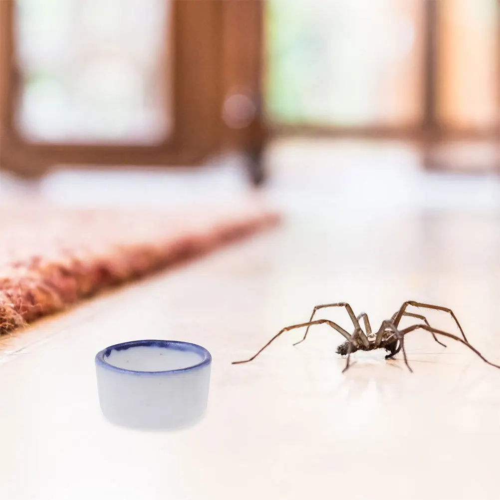 

12Pcs Spider Scorpion Water Bowls Mini Ceramic Small Pet Water Feeder for Reptile Tank Durable Easy Clean Basin