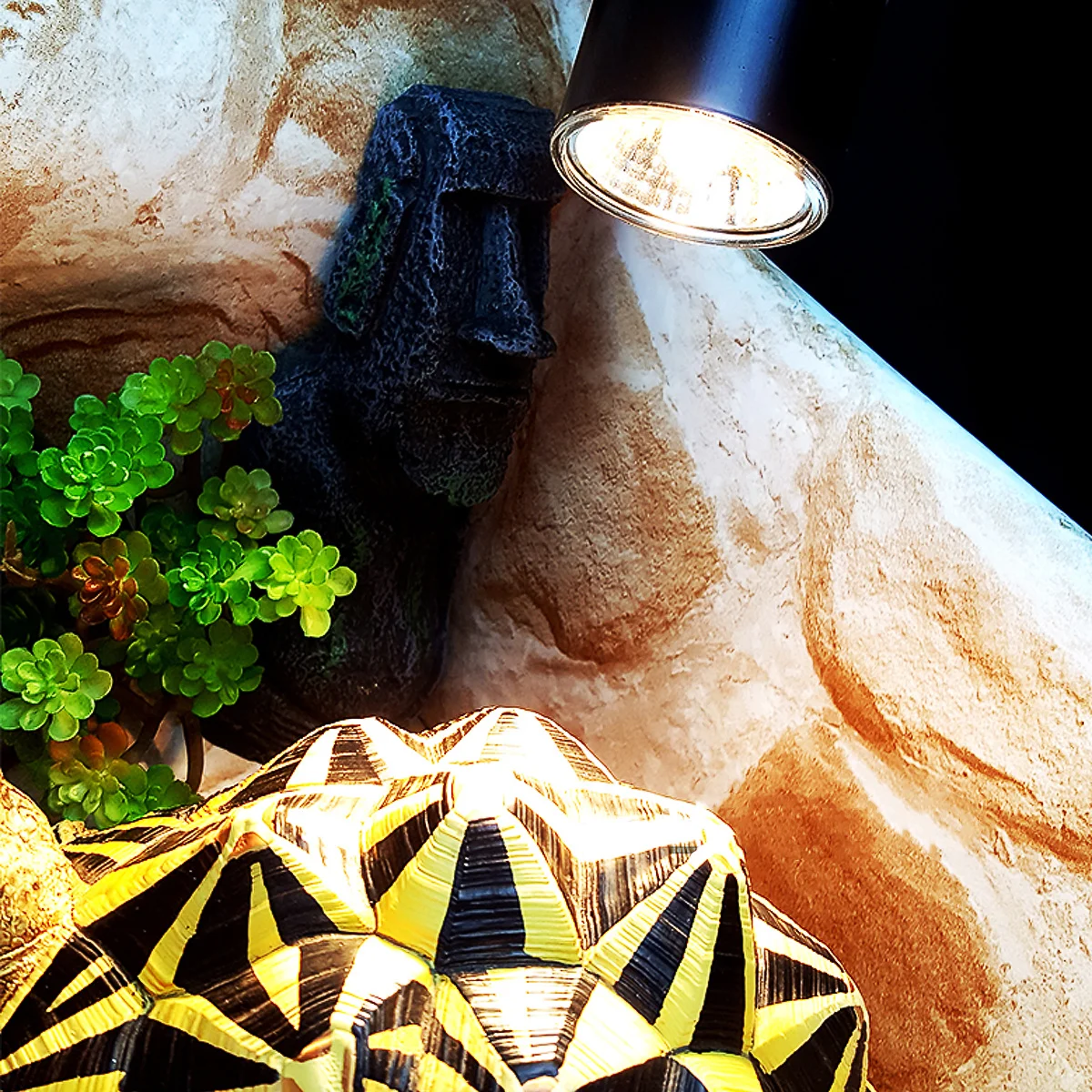 

Iron Reptile Lamp Holder Black Rotatable 360 Degree Metal Clip Hanging Reptile Clamp Lamp Holder for Uvb Ceramic