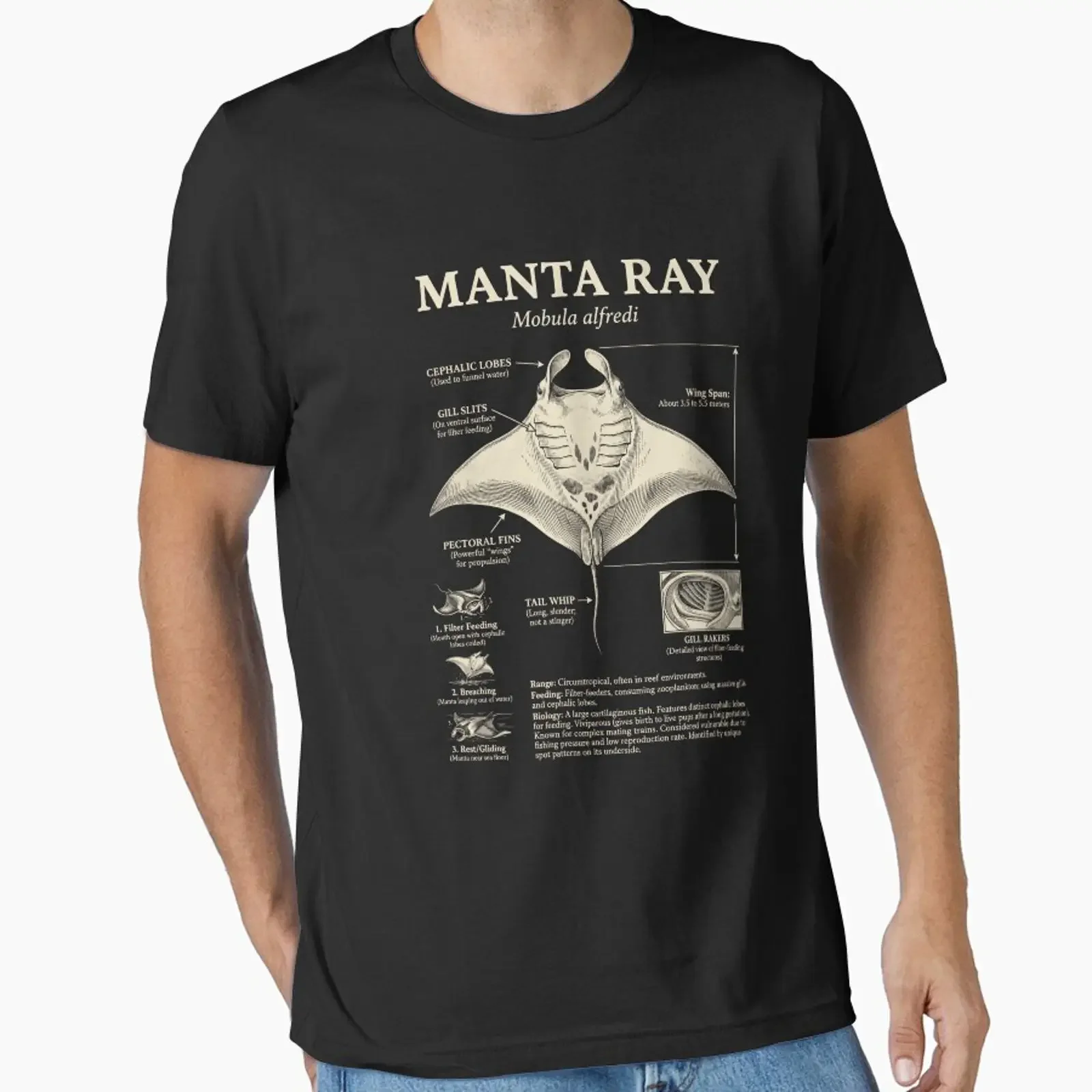 Manta Ray Scientific Anatomy Biology Animal Lover designed and sold by Kimberley King Art vintage Washed Slightly graphic Soft