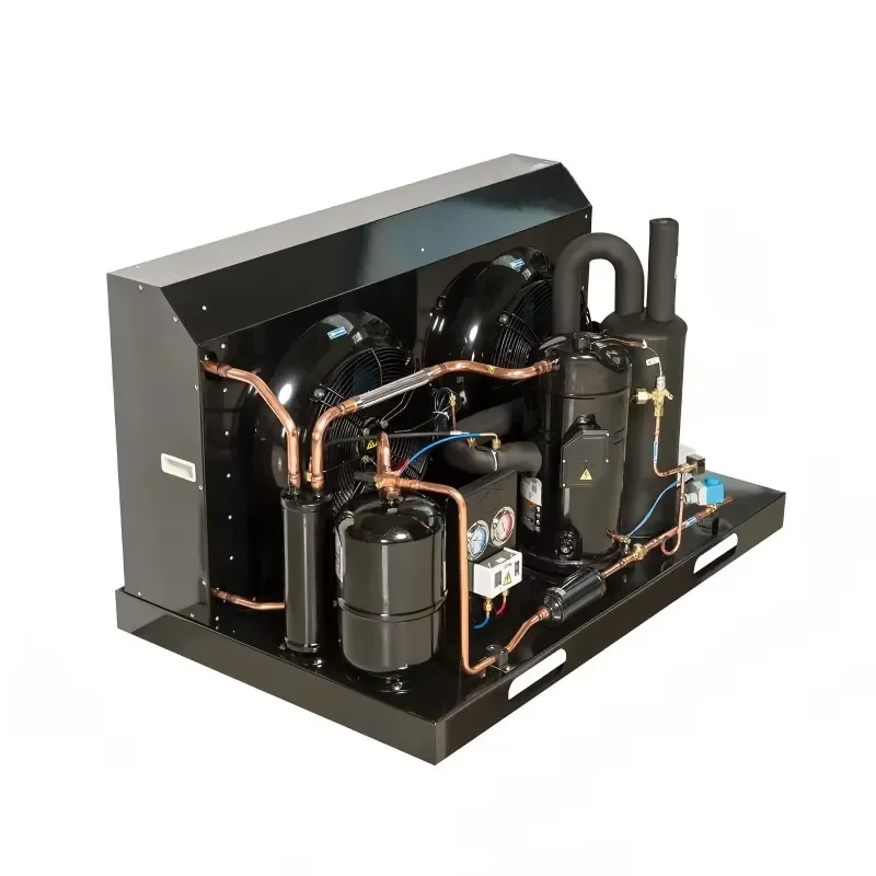 Condensing Unit Scroll Compressor Air Cooled Condensing Unit for Cold Room Commercial Refrigeration System