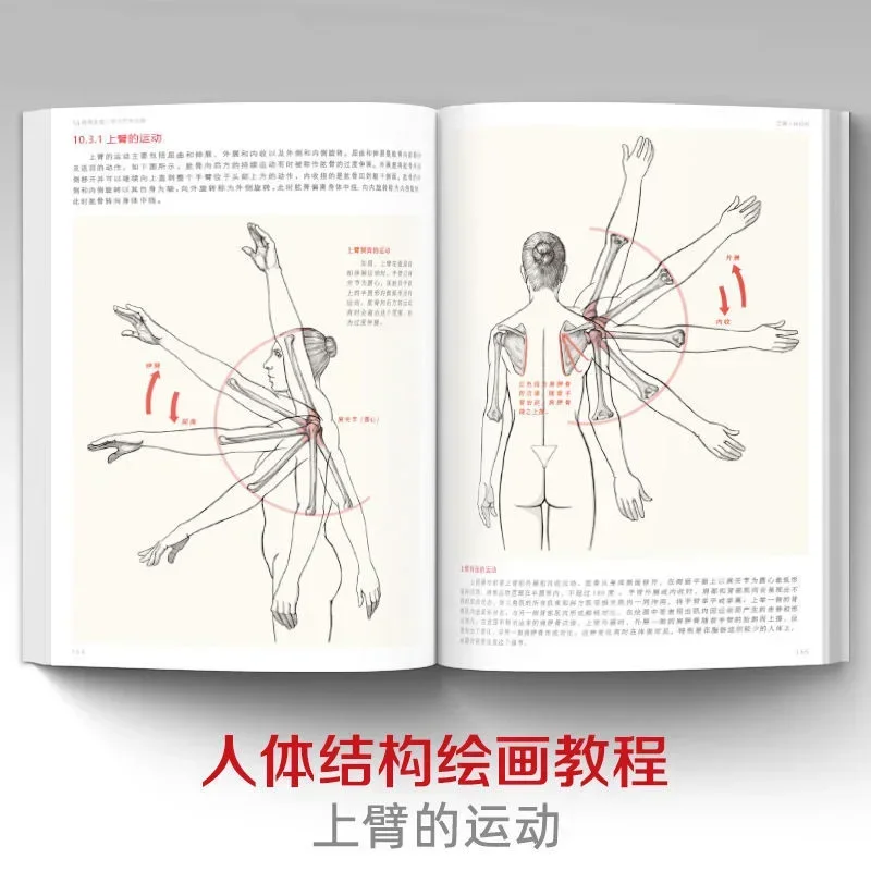 Artistic Study Human Body Sketch Tutorial Book with 2000 Anatomy Reference Books The Art of Human Body Structure Analysis