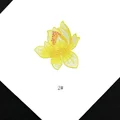 Amarillo