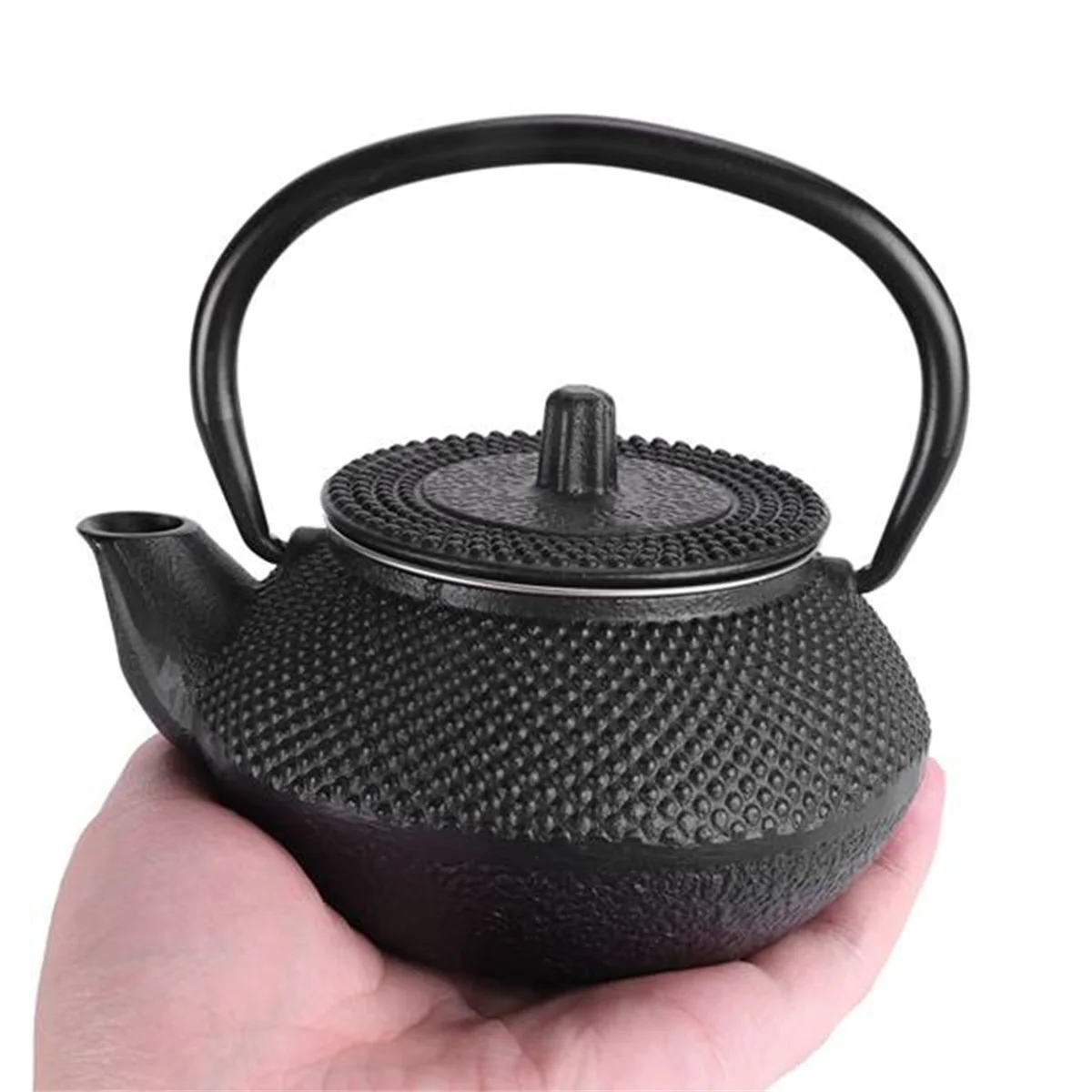 Iron Tea Pot with Stainless Steel Infuser Cast Japanese Iron Teapot Oolong Tea Puer Tea Tea Kettle 300MLJADD