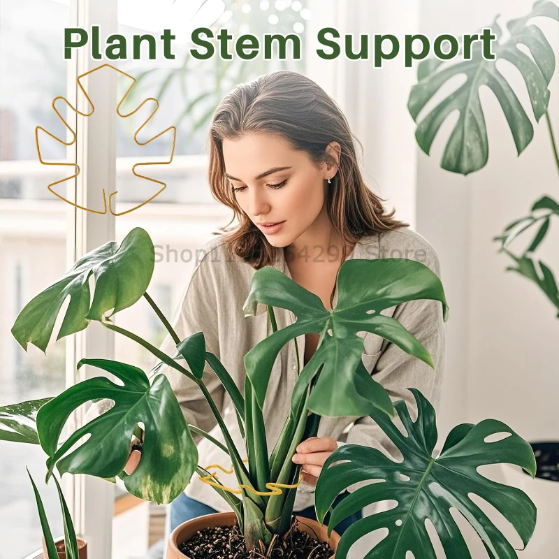 Monstera-Stützstange, Anti-Verwölbungs-Fixierer für Paradiesvogelpflanzen, Federförmige Halterung für Hydrokultur-Pflanzenzweige – Detail 6