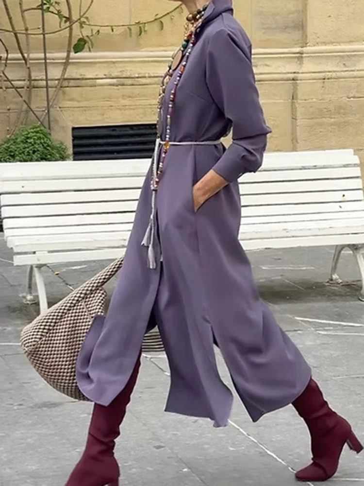 Vestido camisero de manga larga con solapa de temperamento, vestido largo elegante de satén con bolsillo para mujer, vestido informal de un solo pecho de Color sólido para ir al trabajo