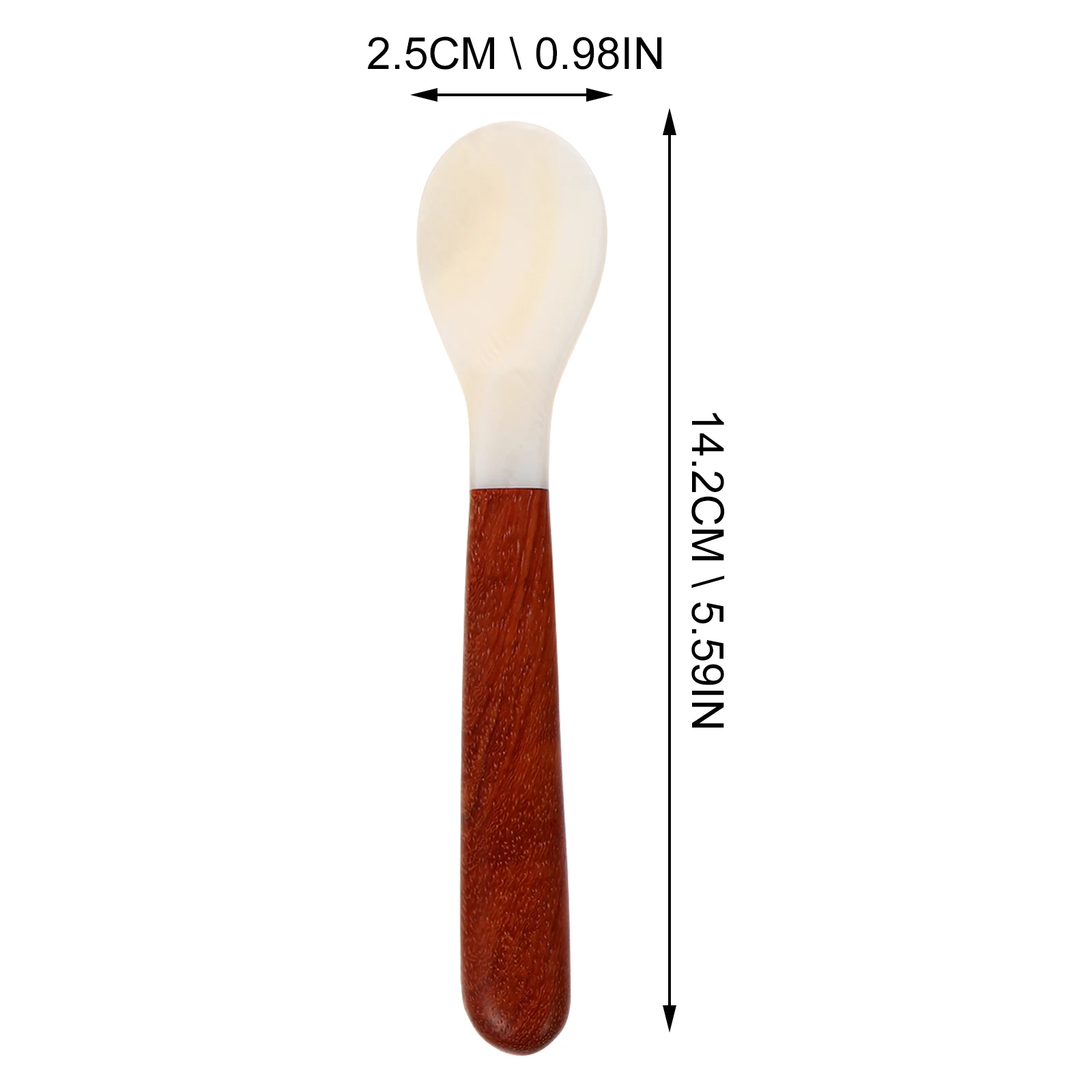 

2pcs Seashell Wooden Soup Spoon Porridge Spoon Table Utensil Lightweight Brown Mini Size for Dessert Ice Cream Home Restaurant