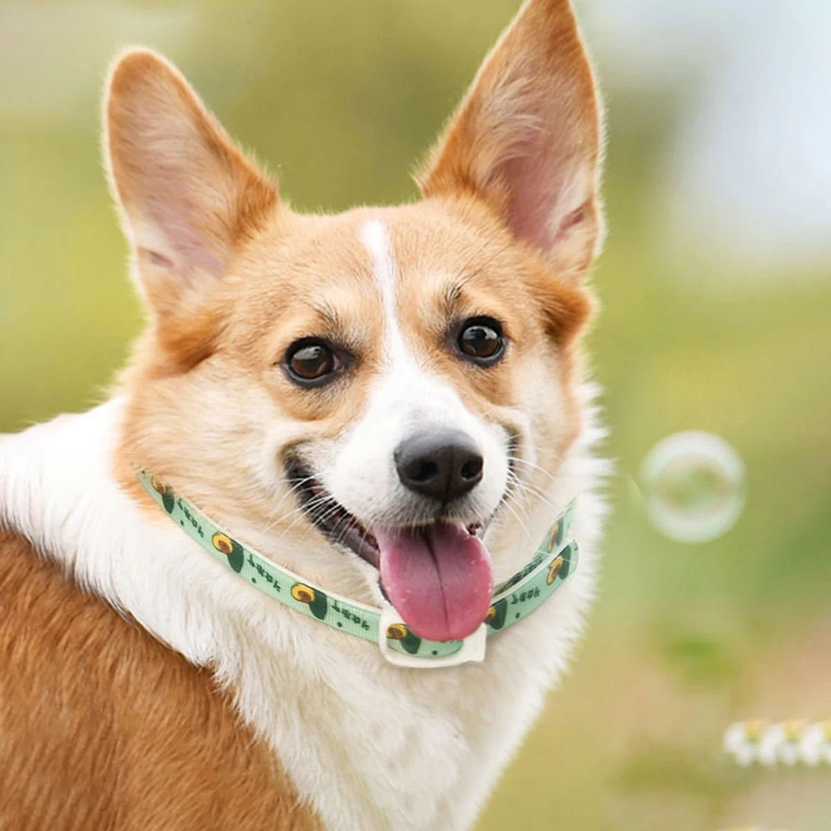 Collar antipararasita ajustable: protección contra pulgas y mosquitos para mascotas, material de nailon, 3 tamaños