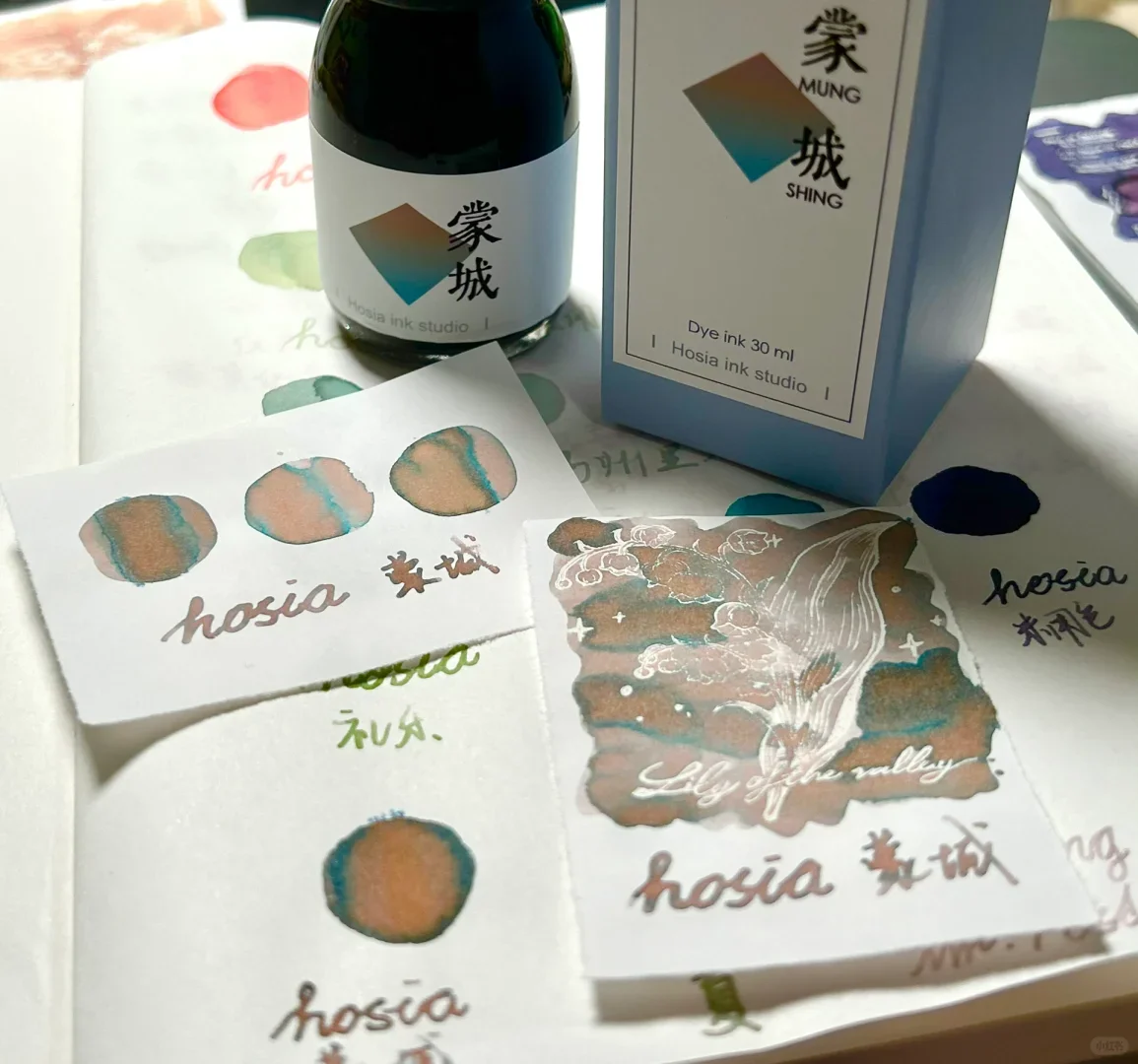 Hosia Fountain Pen Ink Color Ink Chromatography Gradient Ink Dip Fountain Pen Ink 30ml