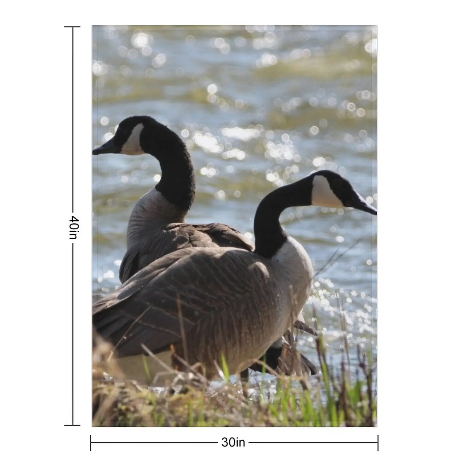 Pair of Canada Geese Throw Blanket Fashion Sofas For Baby Sofa Quilt Bed covers Blankets