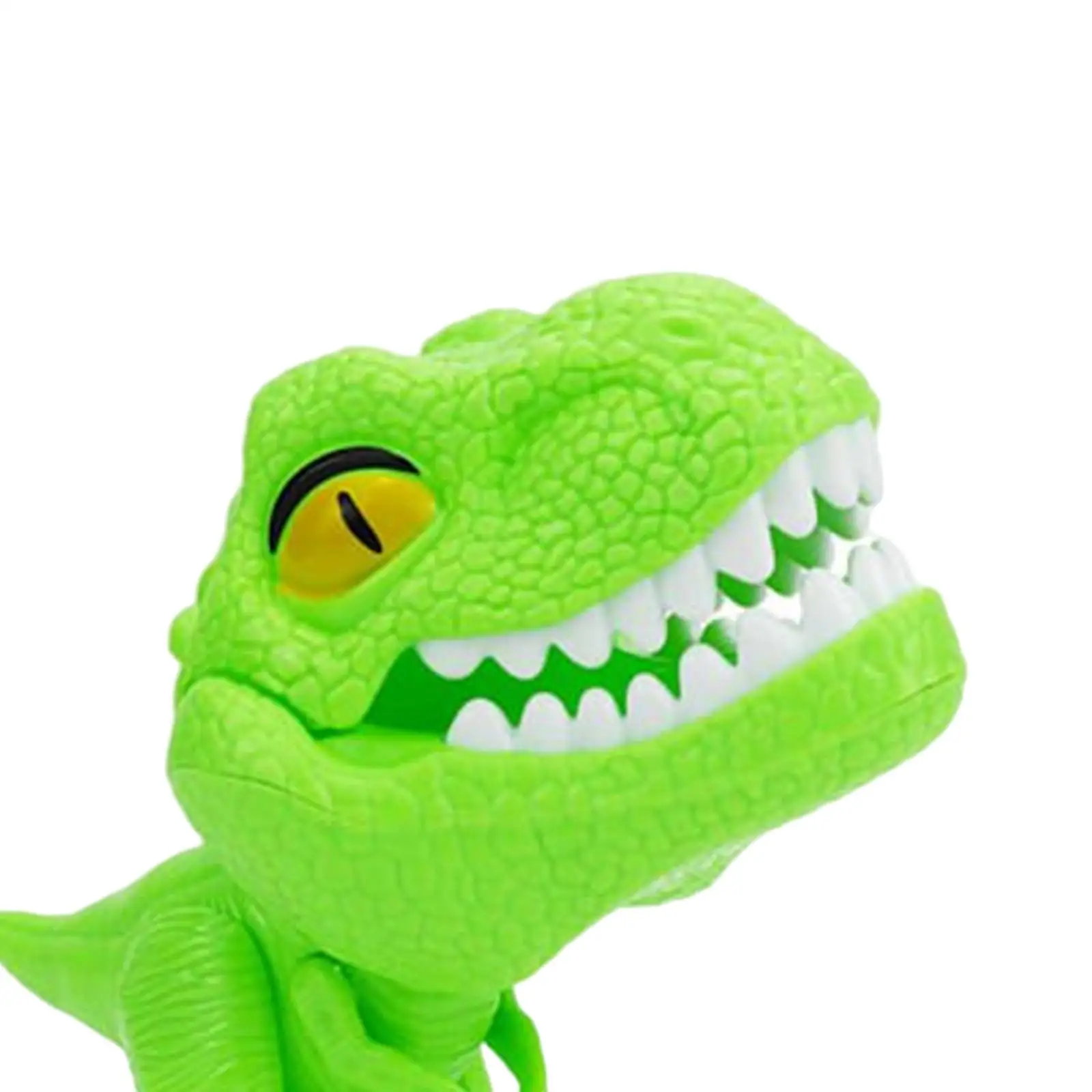 

10 Pieces Check Teeth Model Parent Child Interaction for Girls and Boys