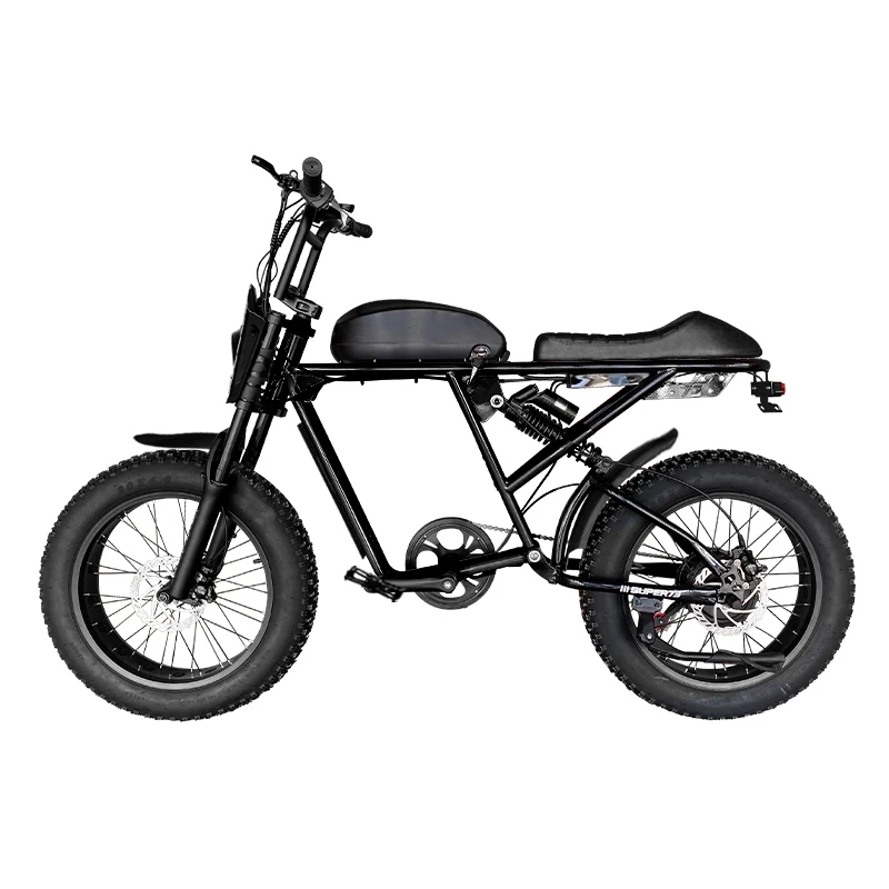 

High Speed Electric Bicycle 400w 500w Electric City Bike 1000w Electric Mountain Bike With Three Riding Modes