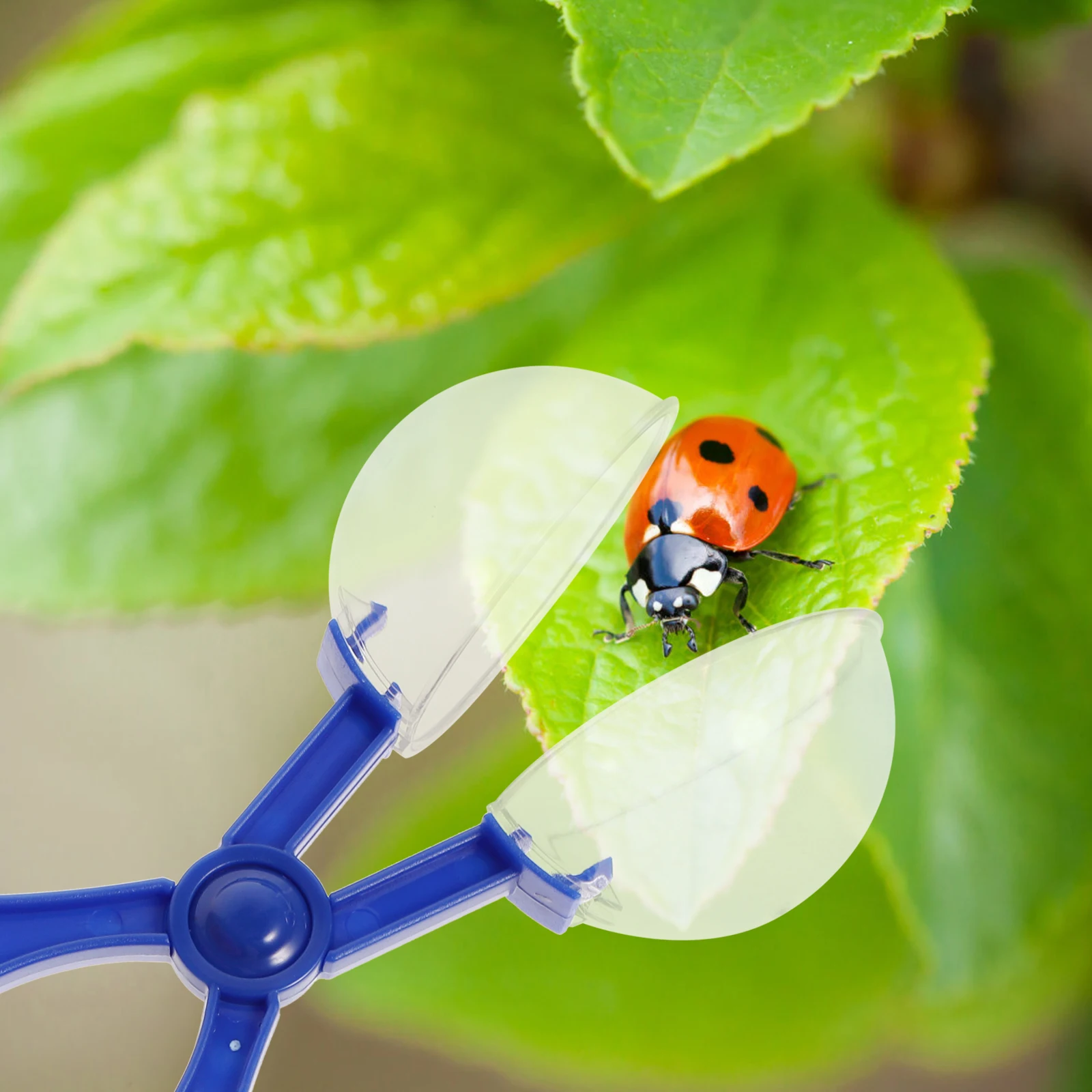 

8 Pcs Insect Scissors Bug Tongs Outdoor Kids Toddler Toys for Scooper Insects Catch Clamp Catcher