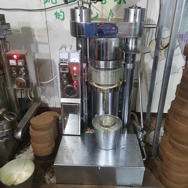 Automatic Hydraulic Hydraulic Press Household Stainless Steel Cold Press Oil Machine Olive Oil Extractor