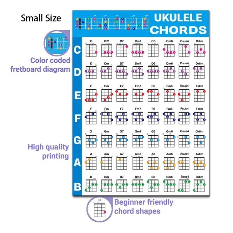 Reference Guide for Ukulele Players Teachers, Printed on Waterproof, Non-Tearing