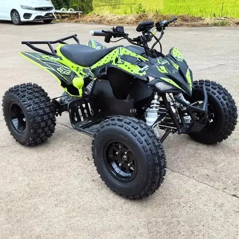 Controller EM260 Potente quad elettrico ATV 120Ah 72V 4000w per adulti