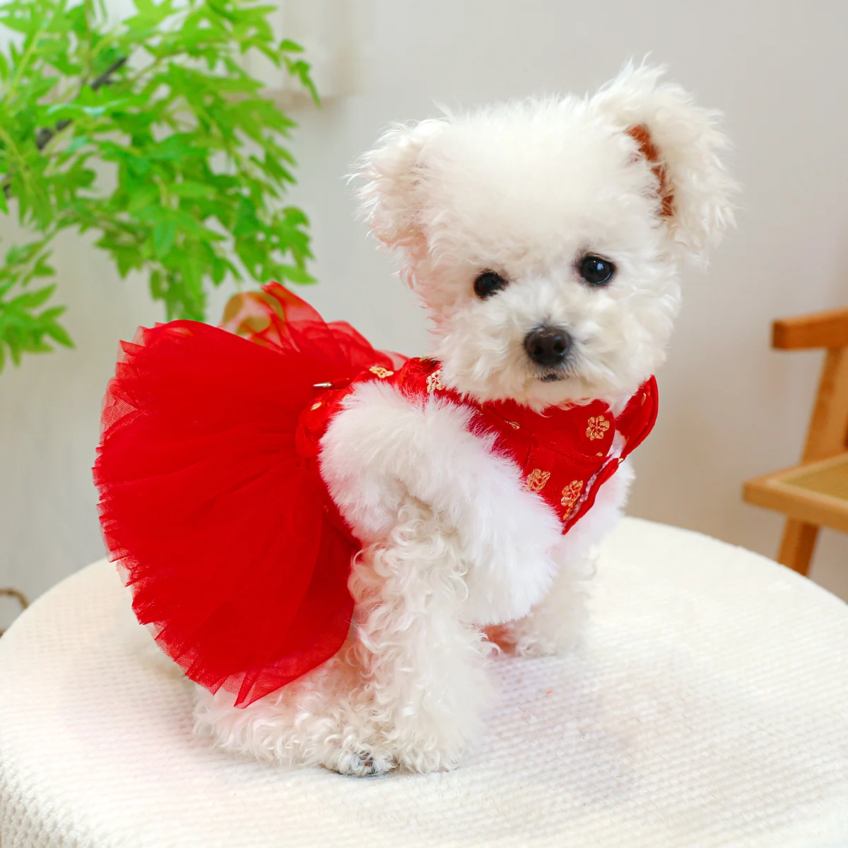 1PC Pet Apparel Cat Winter Plush Thickened Warm New Year Chinese Red Princess Dress With Drawstring Buckle For Small Medium Dogs