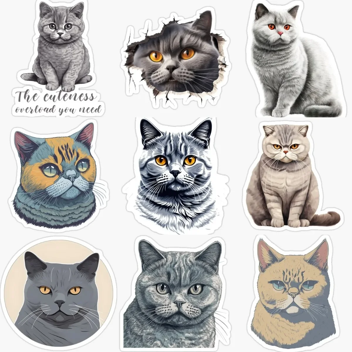 

Cute British Shorthair Cat Creative Pets PVC Waterproof Sticker Decorate for Car Van Door Wall Window Fridge Decal Accessories