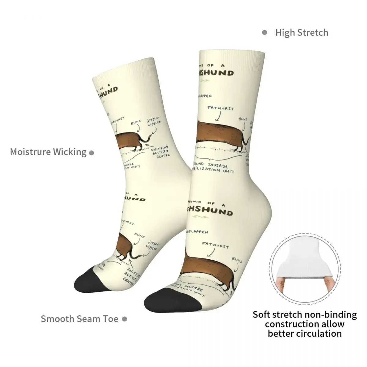 Anatomy Of A Dachshund Socks Harajuku High Quality Stockings All Season Long Socks Accessories for Unisex Birthday Present