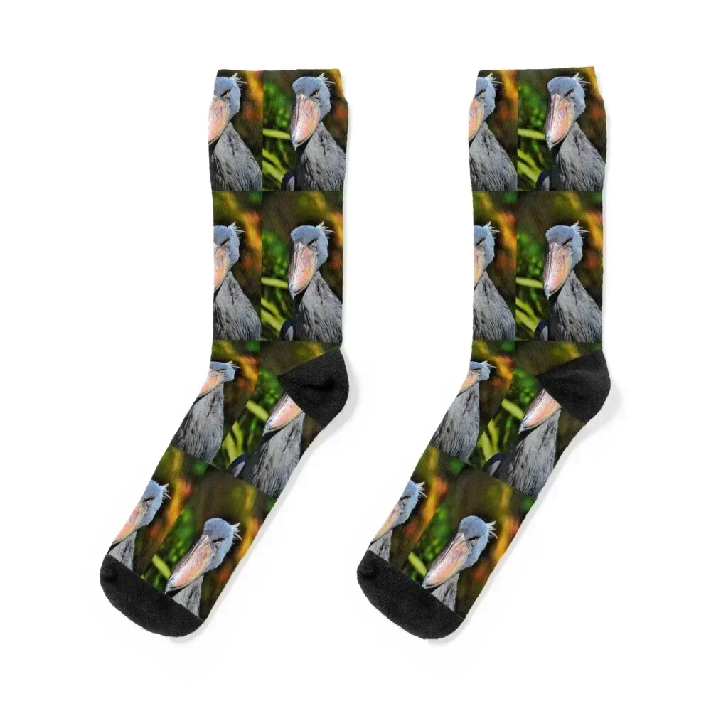 Shoebill Socks football men cotton high quality colored luxe Boy Socks Women's