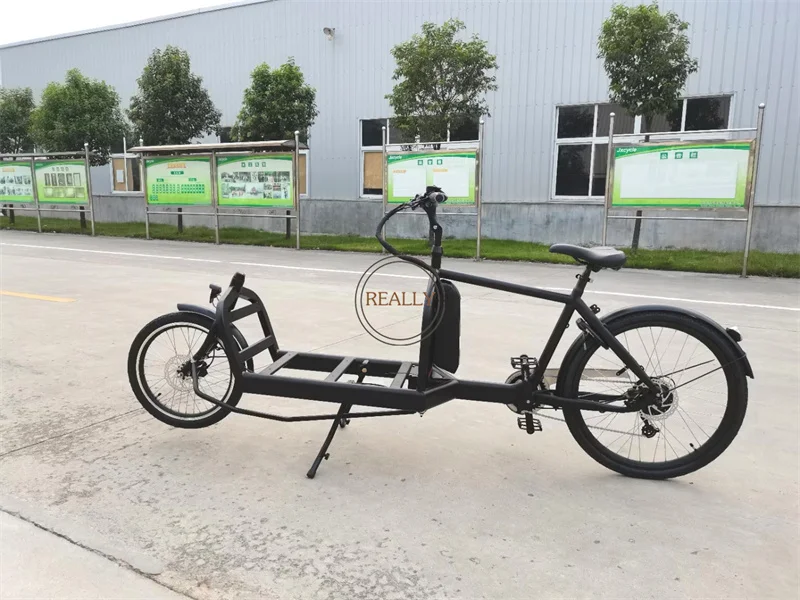 New 2 Wheel Cargo Bike Front Loading Electric Two Wheel Goods Bicycle for People