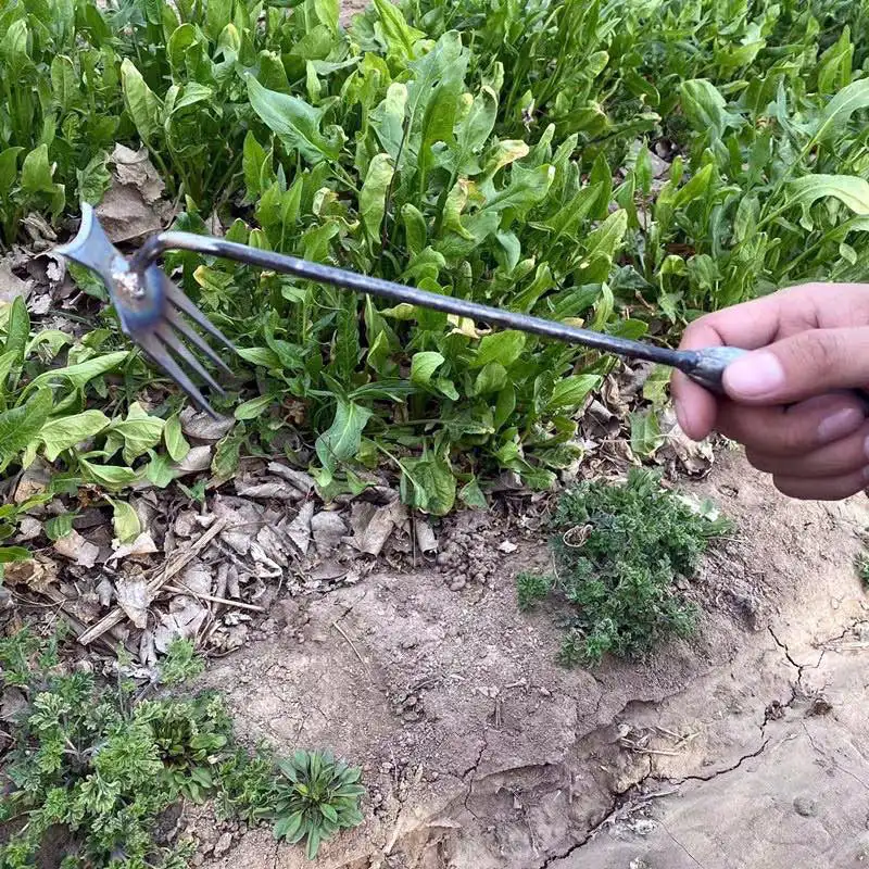 Manganese Steel Garden Weeding Loose Soil Digging Vegetable Hand Rake Gardening Hoe Root Pulling Agricultural Weed Removal Tools