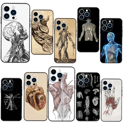 Human Anatomy Case For iPhone 13 Pro Max 12 Mini 11 14 15 16 XS MAX XR Plus Silicone Phone Cover