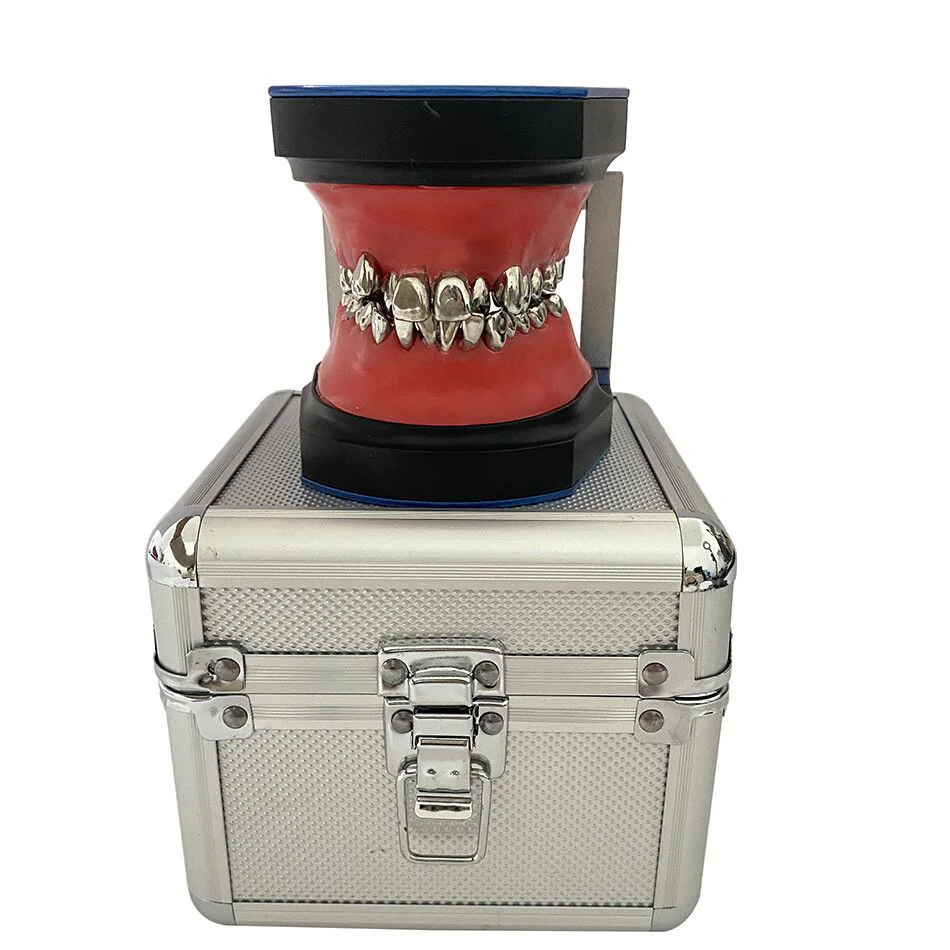 YTYIN Denxy Typodont نموذج تدريب تقويم الأسنان نموذج لشكل الأسنان تقويم الأسنان قوس سلك تصحيح التدريب تعليم وضع الأسنان