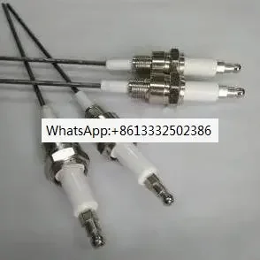 1/4 Screw Flame Detector M14 * 1.25 Boiler Burner Natural Gas Bipolar Ignition Probe Ignition Rod