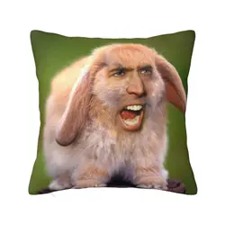 Custom Nicolas Cage Rabbit Modern Throw Pillow Covers Living Room Decoration Funny Meme Sofa Cushion