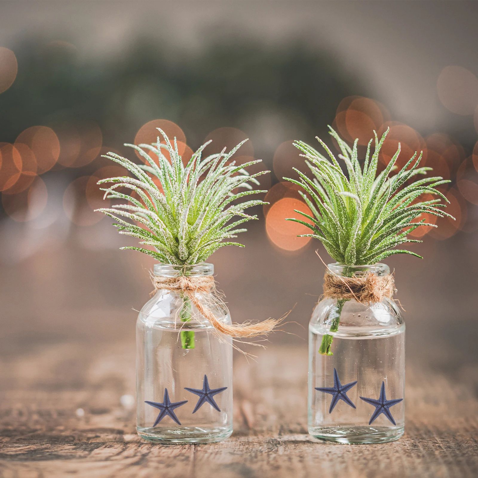 

100 Pcs 1 2cm Decorative Seashells DIY Aquarium Fish Tank Landscape Wishing Bottle Sea Star Craft