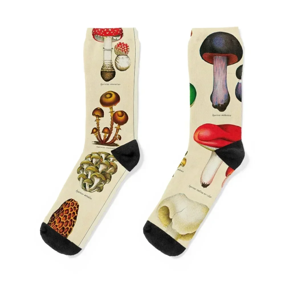 

Vintage Fungi Chart Socks Rugby new in's essential Lots Boy Child Socks Women's