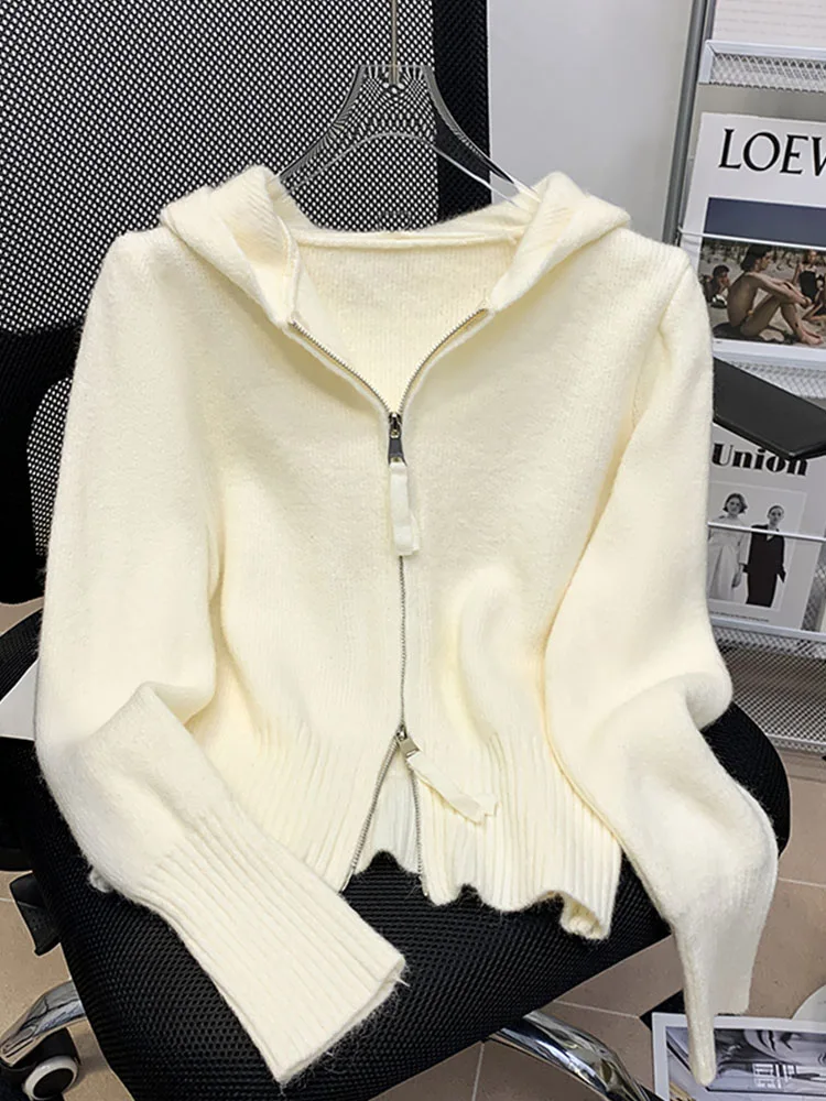 Korean Style Solid Hooded Top Women Long Sleeve Simple Slim Sweater Autumn 2024 High Street Zipper Design Cardigan Streetwear