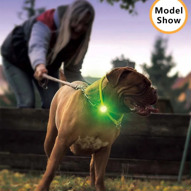 USB Dog LED Lights Recharge Waterproof Dog Tag for Night Walking Bright High Visibility Anti-lost Glow Attach to Collar Harness