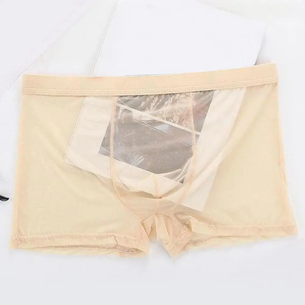 Transparent Boxers for Men See Through Male Underpants Sexy Mesh Low Waist Ice Silk Thin Cooling Men Panties Men Underwear