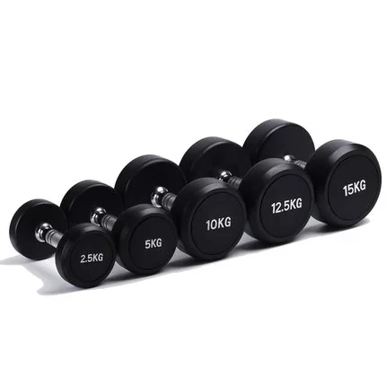 New Product Wholesale 5 10 15 20 25 30LB Dumbbell Weight Lifting Sports Fixed Round Head Rubber Coated Dumbbells