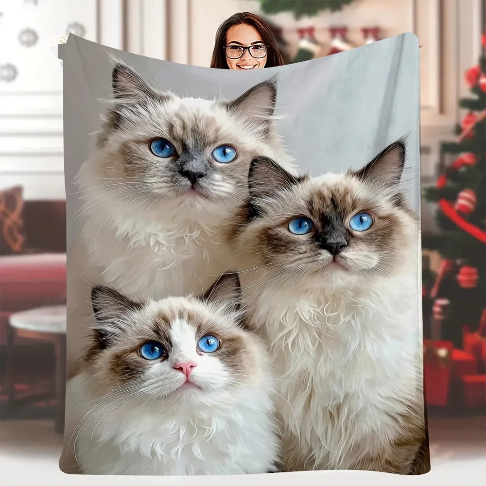 Adorable Blue‑Eyed Ragdoll Cats Flannel Throw Blanket Three Cute Fluffy Ragdoll Kittens Realistic Pet Portrait Print Soft