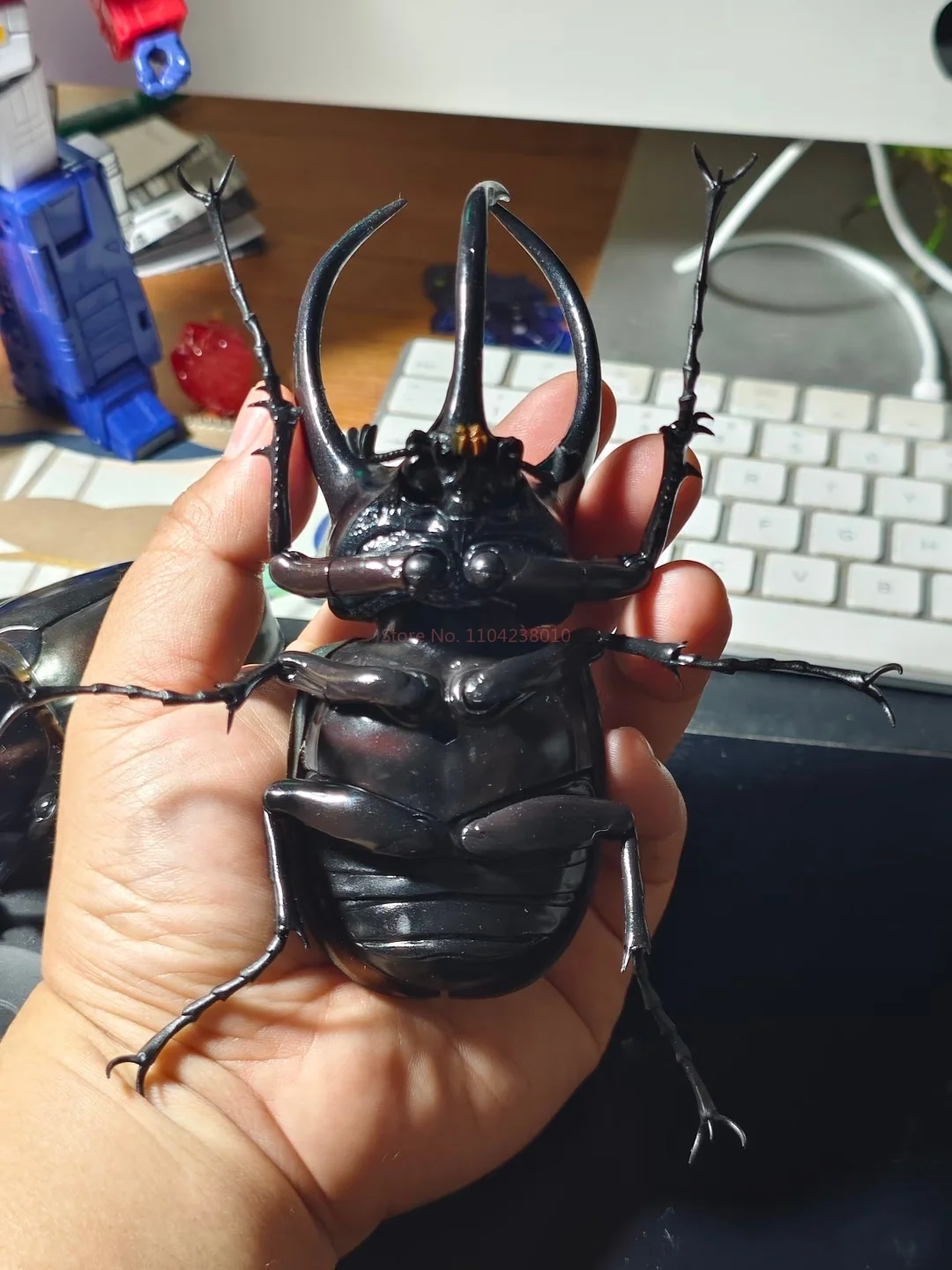 بانداي تشالكوما أطلس القوقاز خنفساء نموذج متحرك لعبة زخرفة الحشرات فائقة الواقعية لهواة الجمع شخصيات الحركة الأصلية #5