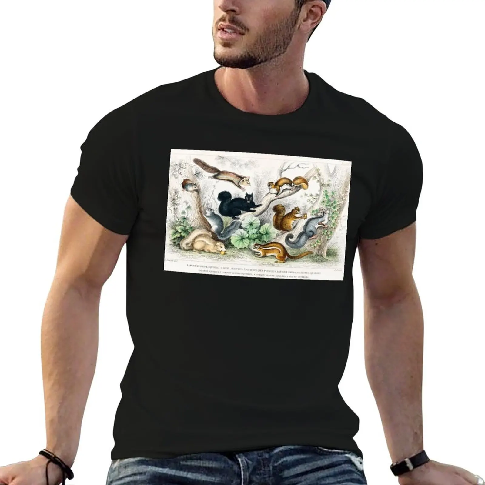 Squirrels of the world - by Oliver Goldsmith 1820 T-Shirt Soft Durable Cotton T-Shirt