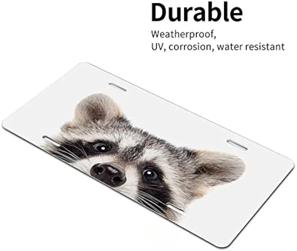 Raccoon Watching Aluminum Noverlty License Plate Decorative Car Front Metal License Plate Decorative Signs Fit US 6X12 Inch