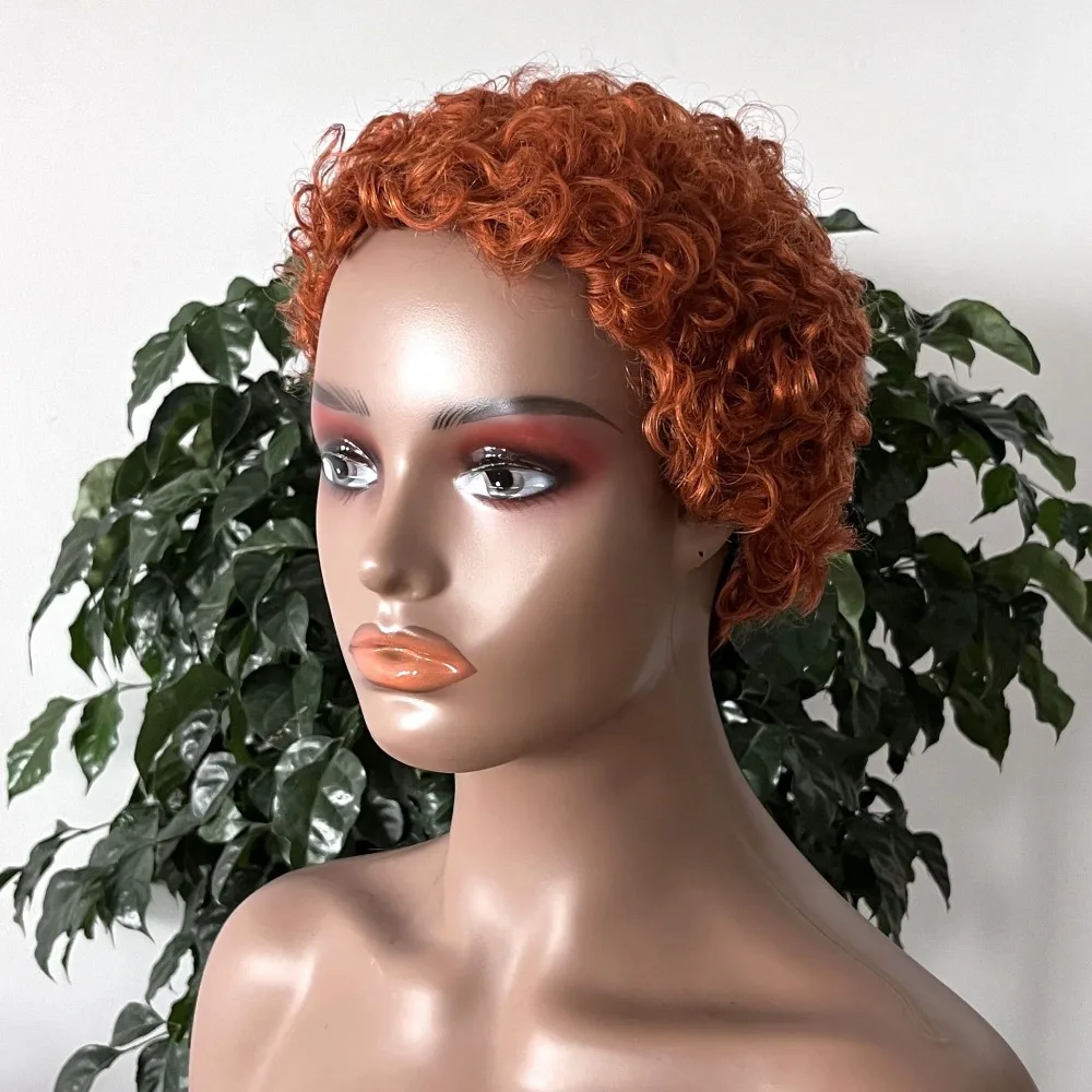 짧은 픽시 컬리 가발 실제 사람 헤어울 롤 아름다운 레이어 및 볼륨 쉬운 관리로 오래 지속되는 스타일 브라질 버진 레미