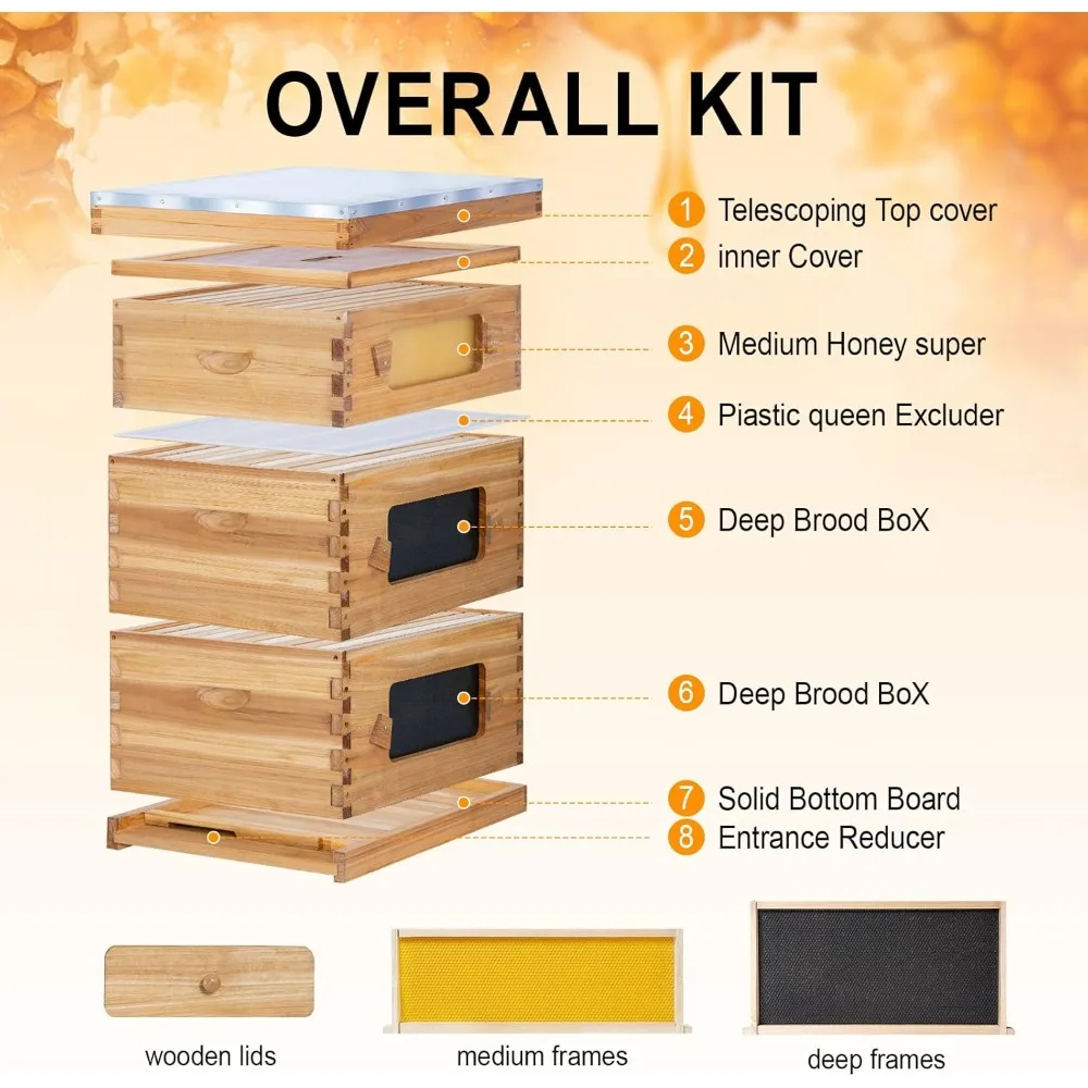 مجموعة أدوات إطار خلية النحل مع نوافذ، صناديق خلية النحل المطلية بشمع العسل لانجستروث لمربي النحل مع إطارات خلية النحل والشمع